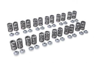 RSE Valve Spring Set RB26DETT TYPE-B