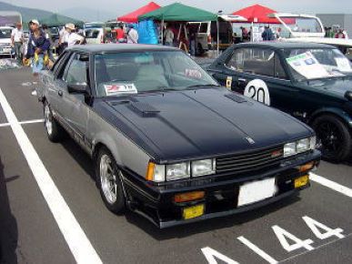 Restored Bonnet For Gazelle Silvia S110