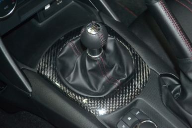 RSW ND ROADSTER Carbon Shift Panel