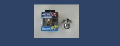 Viper R33 Skyline  Thermostat