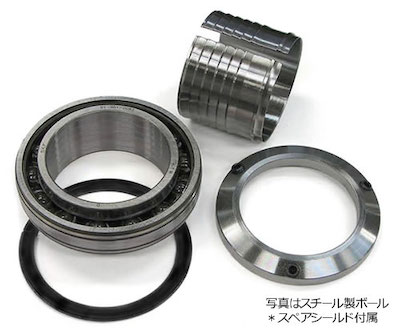 SKF Personal Engine Bearings