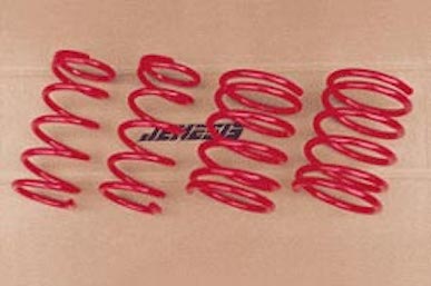 Jenesis Nissan Skyline R30 Coil spring sport