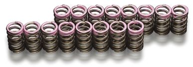 TODA RACING F20C/F22C- S2000 Up Rate Valve Spring