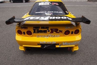 Bee R General Purpose Carbon Wing