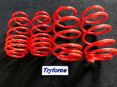 TryForce ZC33 Down Spring