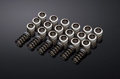 REIMAX VALVE SPRING